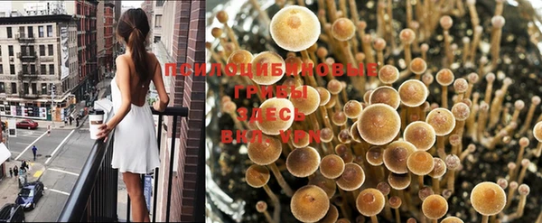 героин Аркадак