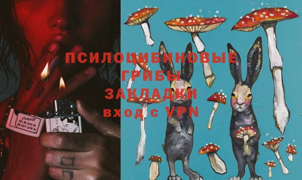 ПСИЛОЦИБИНОВЫЕ ГРИБЫ Армянск