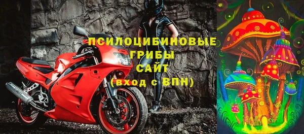 прущая мука Арсеньев
