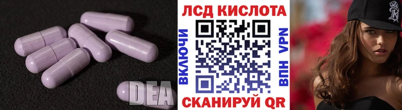 ЛСД экстази кислота  omg tor  Судогда  где можно купить  