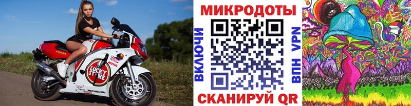 Псилоцибиновые грибы мицелий  Судогда 